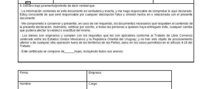 Certificado de Origen en Uruguay: la Llave para Exportar con Beneficios Arancelarios (2026) 1 serper image 200 1780749413