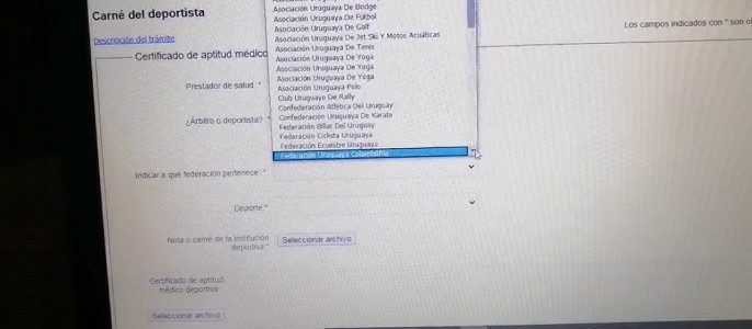 serper image 227 1780749444