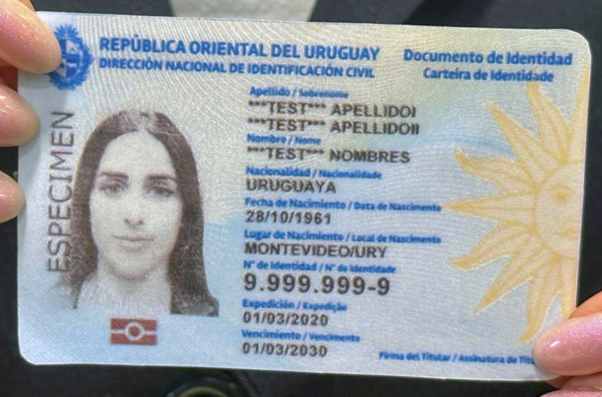 serper image 243 1780749514 scaled