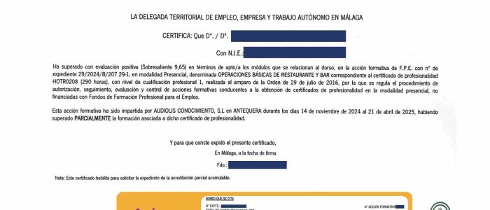 Certificado de Servicios Prestados en la FAU: Solicítalo y Acredita tu Trayectoria 1 serper image 262 1780749706